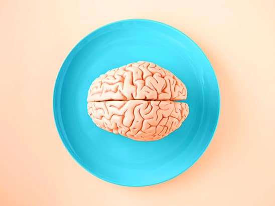 The Captive Mind - Foundation of Human Understanding